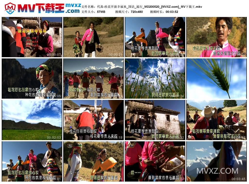 代茜-桂花开放幸福来_国语_流行_MD200520